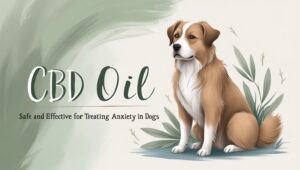 Is CBD Oil Safe and Effective For Treating Anxiety In Dogs-gogogreen organics